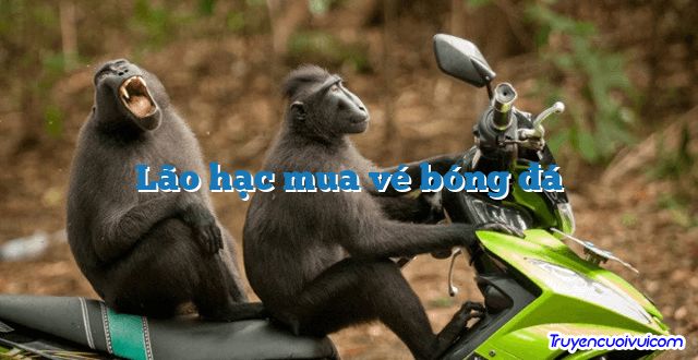 Lão hạc mua vé bóng đá 		