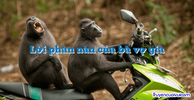 Lời phàn nàn của bà vợ già 		