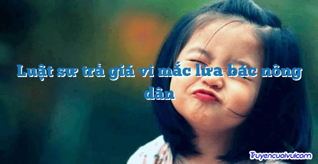 Luật sư trả giá vì mắc lừa bác nông dân 		