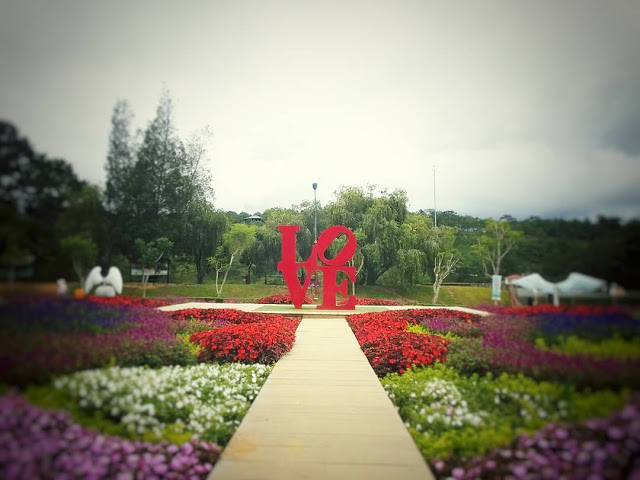 Những bài thơ ngắn hay về Đà Lạt lãng mạn và mộng mơ 		