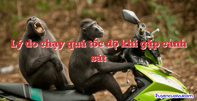 Lý do chạy quá tốc độ khi gặp cảnh sát 		