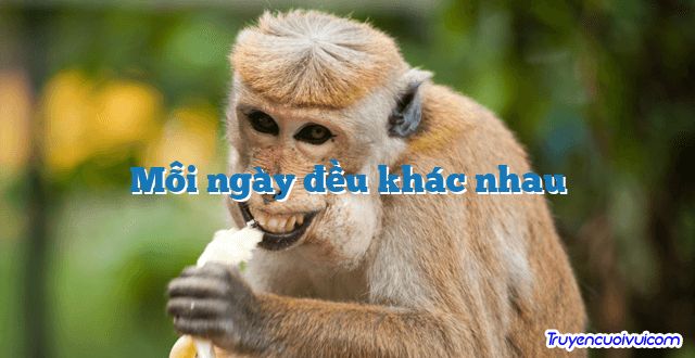 Mỗi ngày đều khác nhau 		