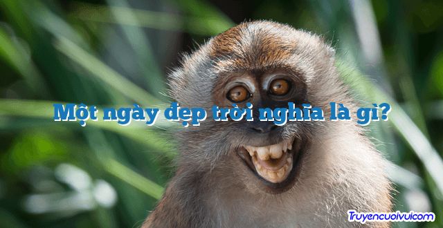 Một ngày đẹp trời nghĩa là gì? 		