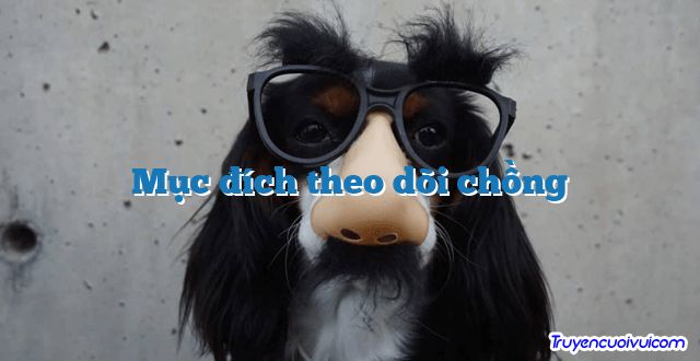 Mục đích theo dõi chồng 		