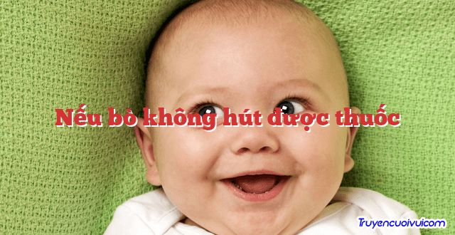 Nếu bò không hút được thuốc 		
