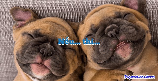 Nếu… thì…