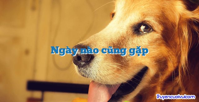 Ngày nào cũng gặp 		