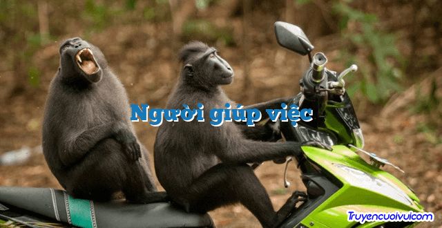 Người giúp việc 		