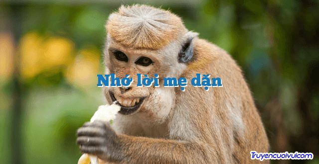 Nhớ lời mẹ dặn