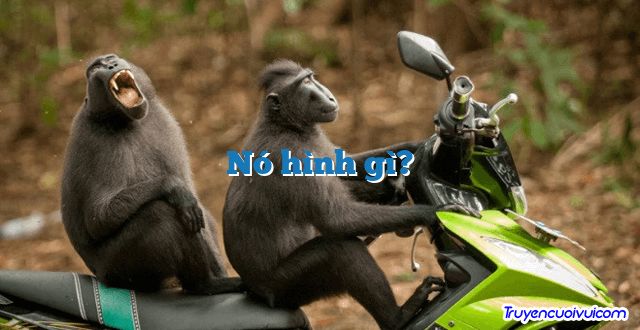 Nó hình gì? 		