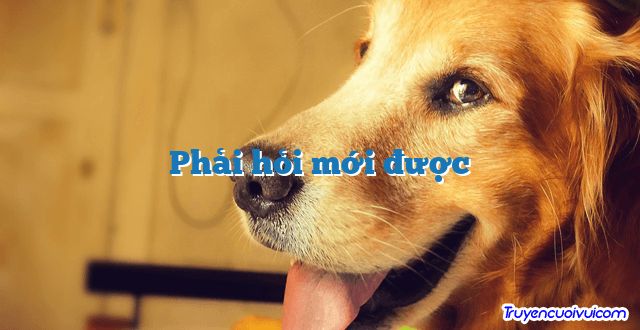 Phải hỏi mới được 		