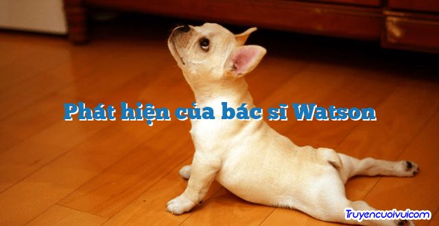 Phát hiện của bác sĩ Watson 		