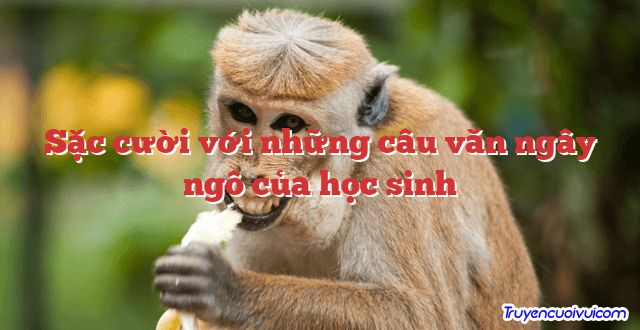 Sặc cười với những câu văn ngây ngô của học sinh 		