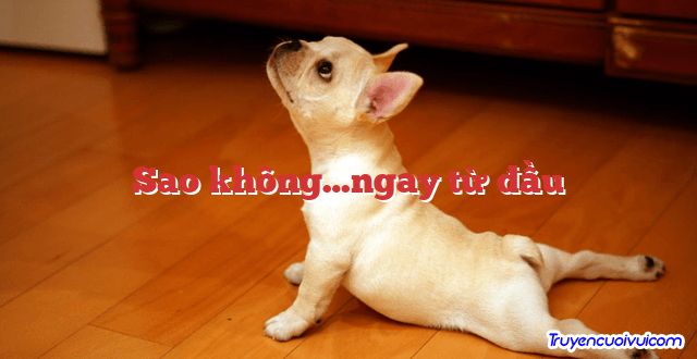 Sao không…ngay từ đầu