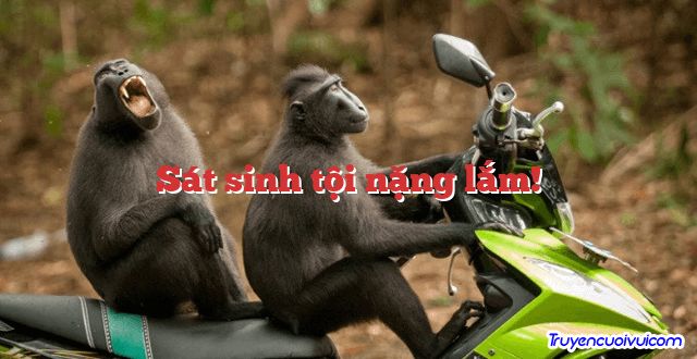 Sát sinh tội nặng lắm! 		