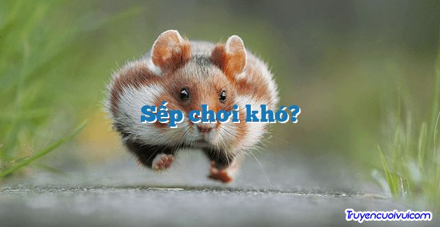 Sếp chơi khó? 		