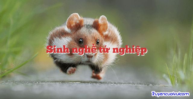 Sinh nghề tử nghiệp 		