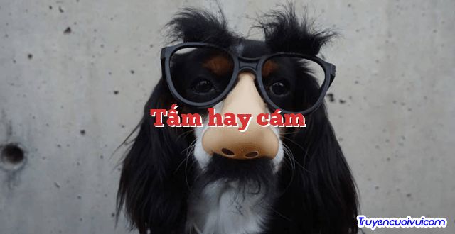 Tấm hay cám 		