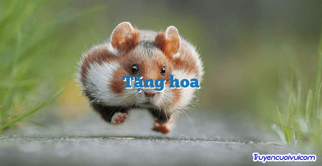 Tặng hoa 		