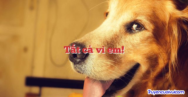 Tất cả vì em!