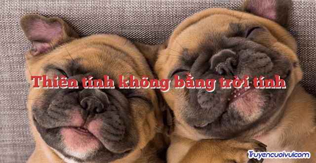 Thiên tính không bằng trời tính 		