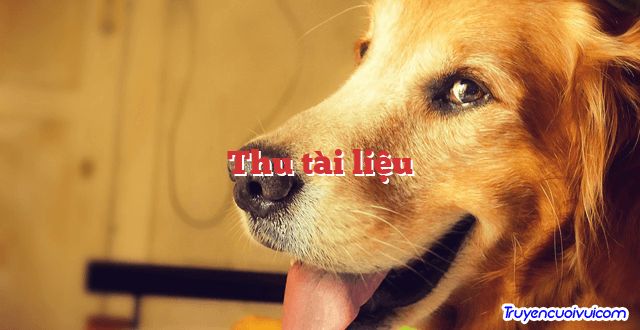 Thu tài liệu