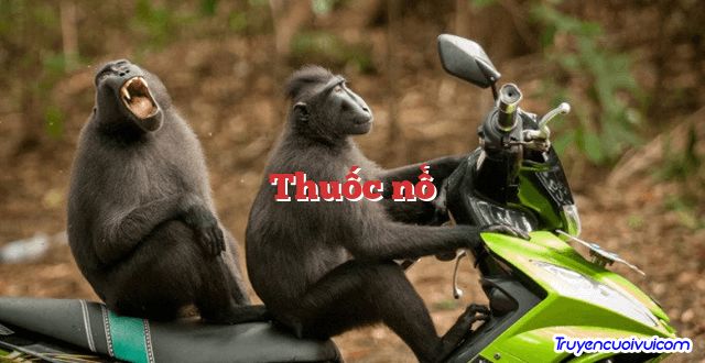 Thuốc nổ