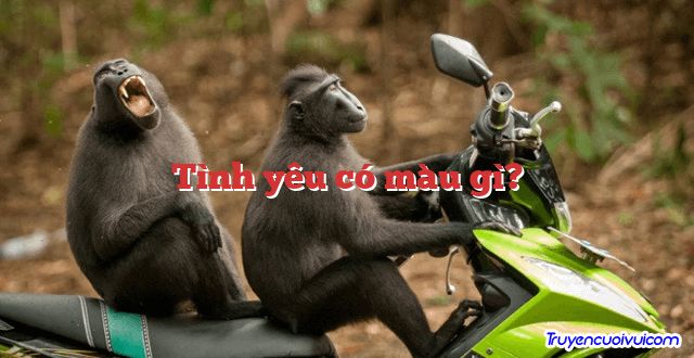 Tình yêu có màu gì?