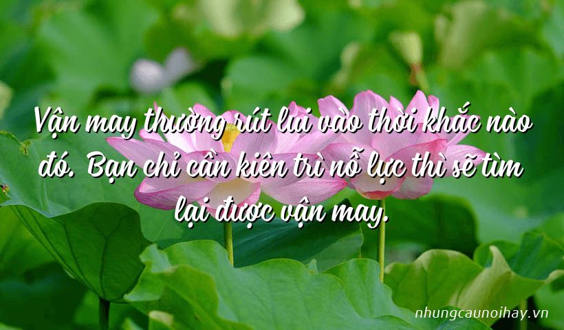 Tổng hợp những câu nói hay về sự nỗ lực nổi tiếng nhất 		