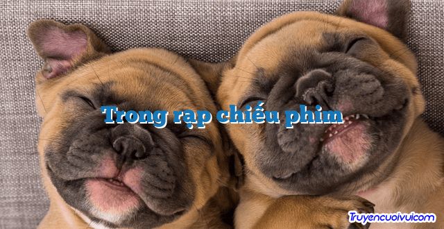 Trong rạp chiếu phim 		