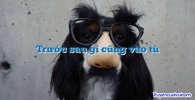 Trước sau gì cũng vào tù 		