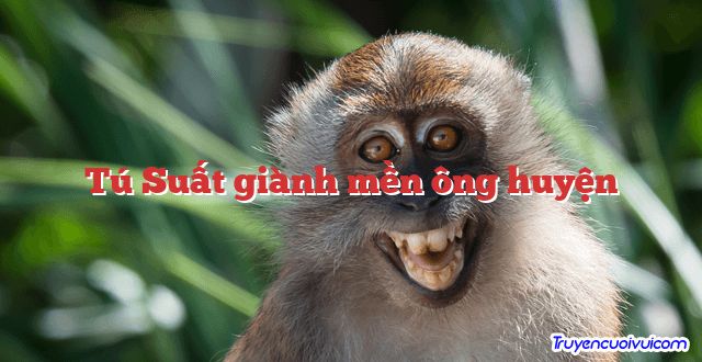 Tú Suất giành mền ông huyện 		