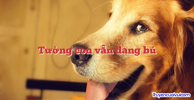 Tưởng con vẫn đang bú