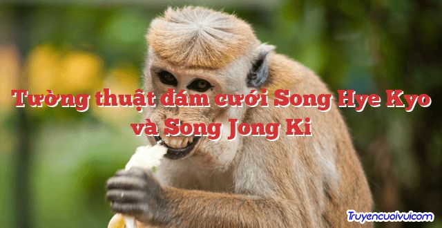 Tường thuật đám cưới Song Hye Kyo và Song Jong Ki