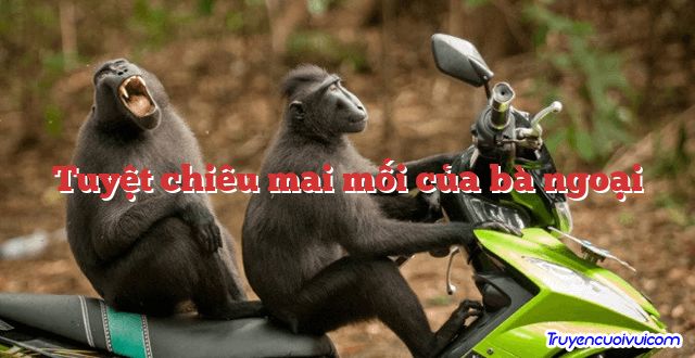 Tuyệt chiêu mai mối của bà ngoại 		