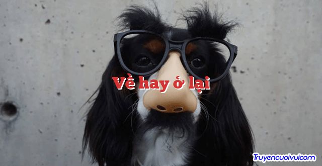 Về hay ở lại 		