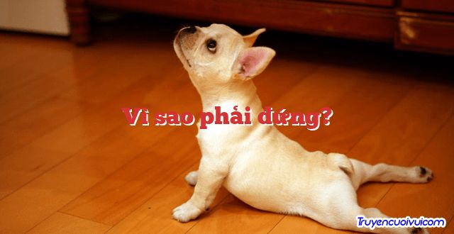 Vì sao phải đứng? 		