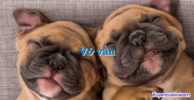 Vớ vẩn