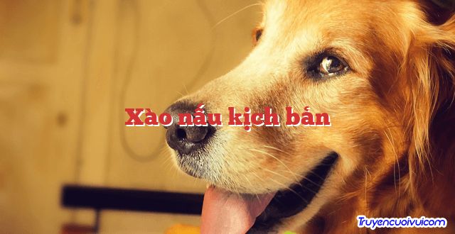 Xào nấu kịch bản 		