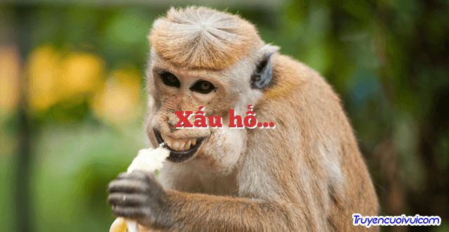 Xấu hổ… 		