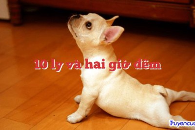 10 ly và hai giờ đêm 		