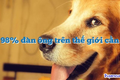 98% đàn ông trên thế giới cần