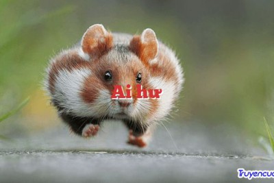 Ai hư 		