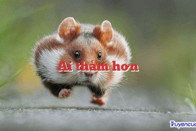 Ai thảm hơn 		