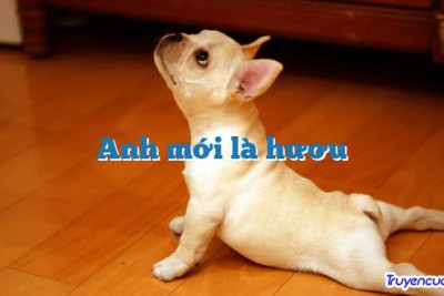 Anh mới là hươu