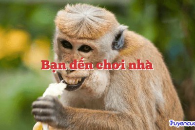 Bạn đến chơi nhà