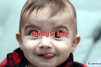 Bằng 3 bao