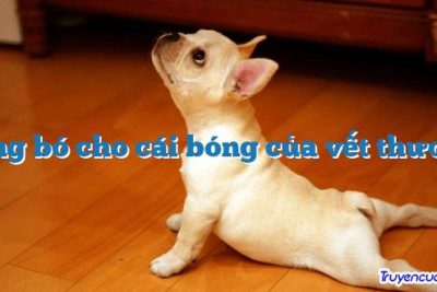 Băng bó cho cái bóng của vết thương 		