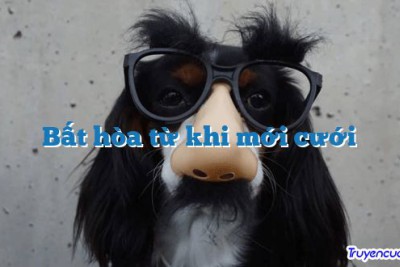 Bất hòa từ khi mới cưới 		