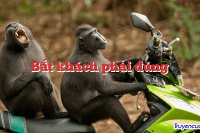 Bắt khách phải đúng 		